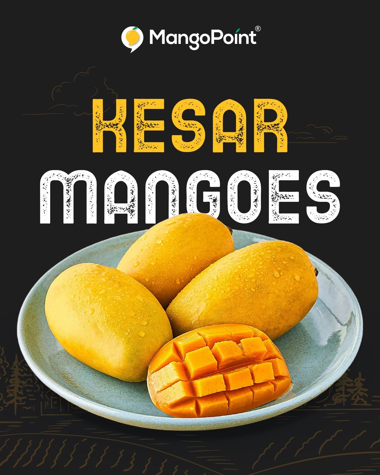 Fresh Indian Mango - Kesar 9-11 Pcs Box